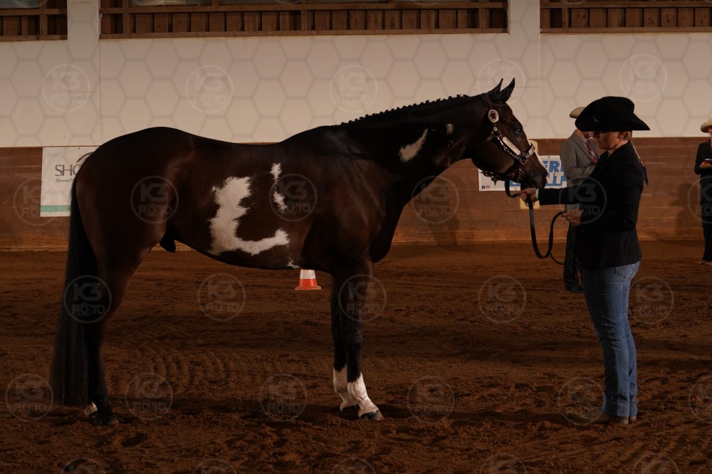 s_A_907132.JPG
